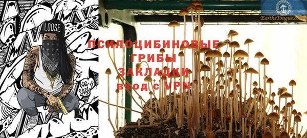 а пвп мука Алзамай
