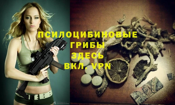 а пвп мука Алзамай