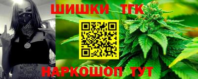гашик Можга