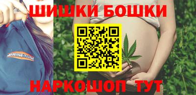 гашик Можга