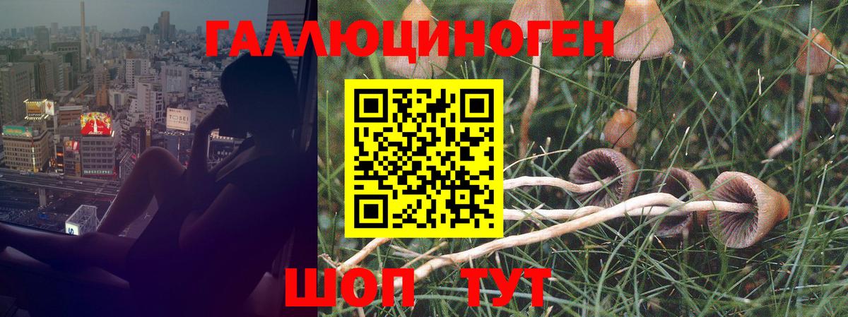Галлюциногенные грибы Magic Shrooms  Вход с VPN  Галлюциногенные грибы GOLDEN TEACHER  Чебаркуль 